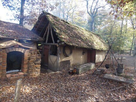 alentours du camping Etang de_la Fougeraie enBourgogne Franche Comté : Château de Guedelon