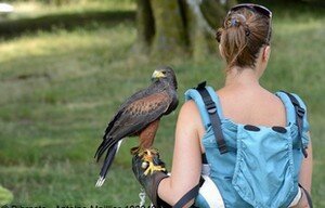 Bibracte dans le Morvan en Bourgogne