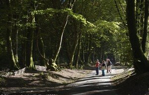 Bibracte dans le Morvan en Bourgogne