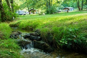 Découverte camping fougeraie dans le Morvan 