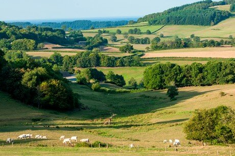 Découverte camping fougeraie dans le Morvan 