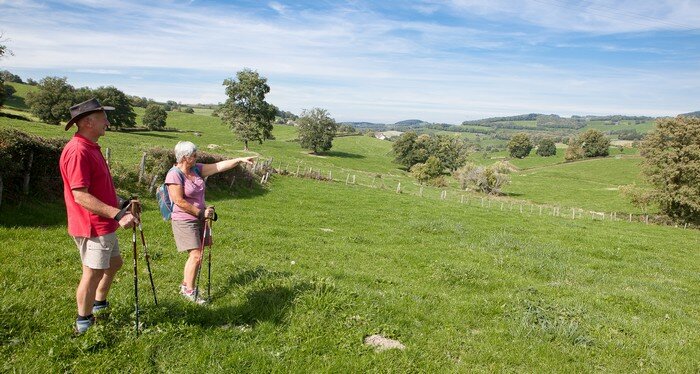 Camping Fougeraie (Nièvre,Morvan) : Découverte de la nature 