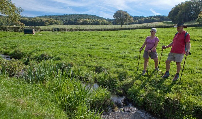 Camping Fougeraie (Nièvre,Morvan) : Découverte de la nature 