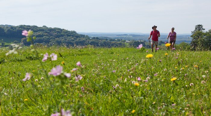 Camping Fougeraie (Nièvre,Morvan) : Découverte de la nature 