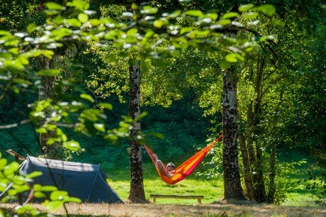 Camping Fougeraie (Nièvre,Morvan,Bourgogne) : emplacements photo 2
