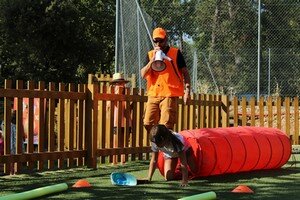 Laser nature au camping fougeraie en Bourgogne franche comte dans le Morvan