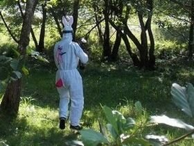 Paintball camping 3 étoiles enBourgogne Franche Comté