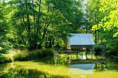 Glamping en France - Hebergement insolite - tente sur pilotis - camping fougeraie MorvanBourgogne Franche Comté Nievre